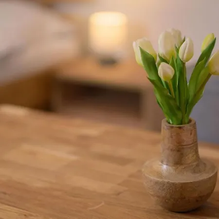 Apartmán Vrchlabi Horejsi Vrchlabi